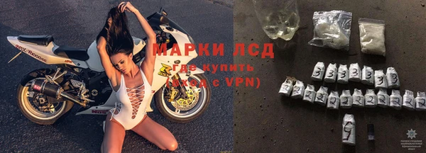 ПСИЛОЦИБИНОВЫЕ ГРИБЫ Арсеньев